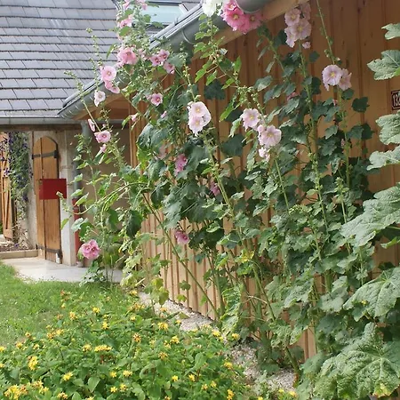 Ferme De La Cochette