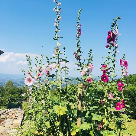 Ferme De La Cochette Vendégház